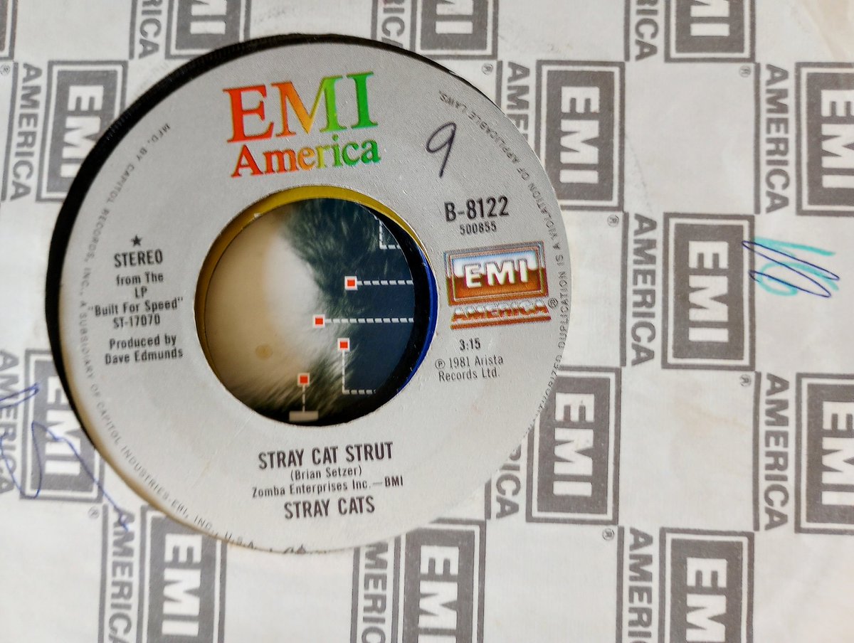 Matthew Mucha tweet media