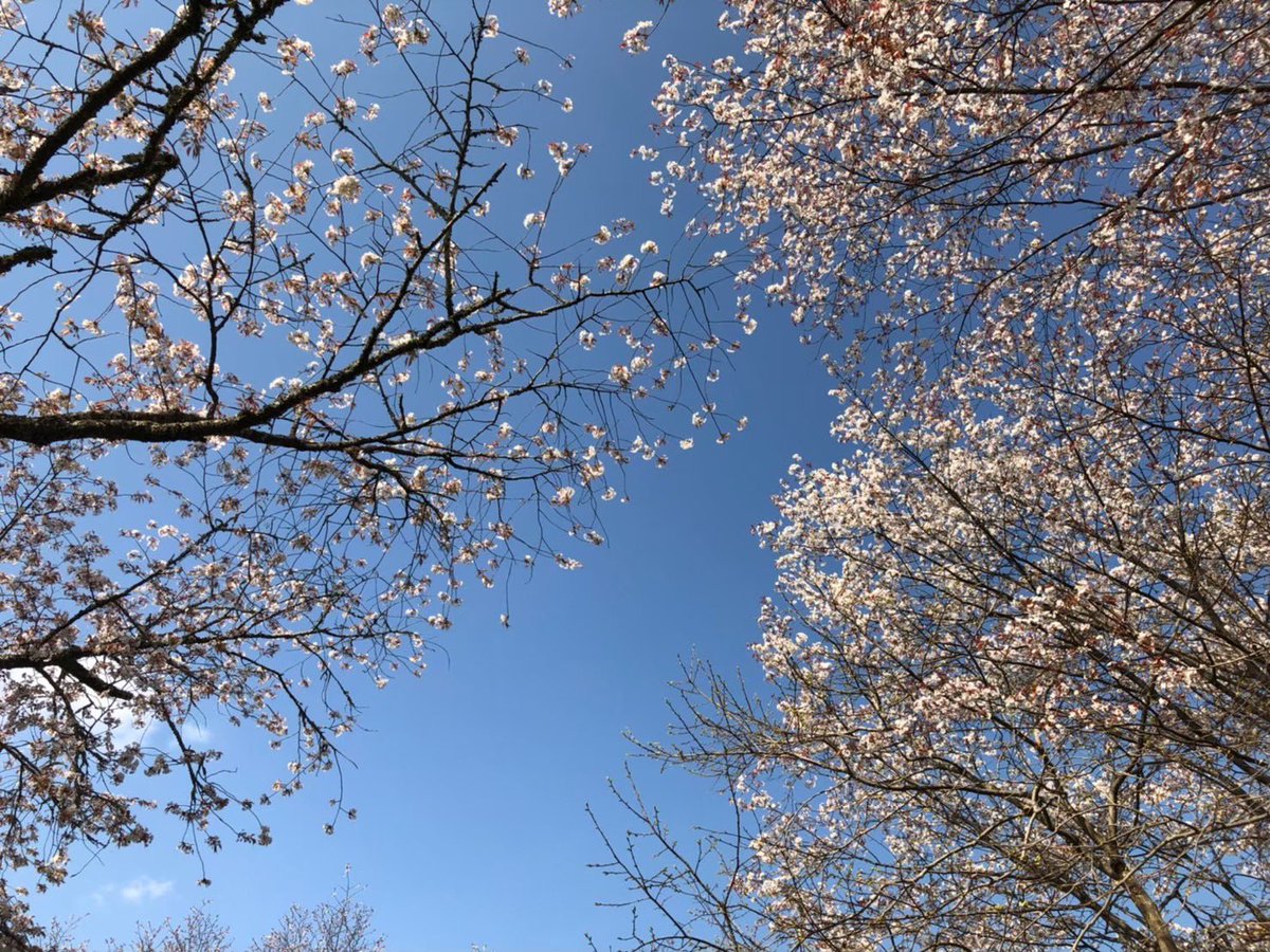 me17fa's tweet photo. 今日美容室行って野音行こかな

1月から行ってないからな🙄 https://t.co/pVDWAn3ibx
