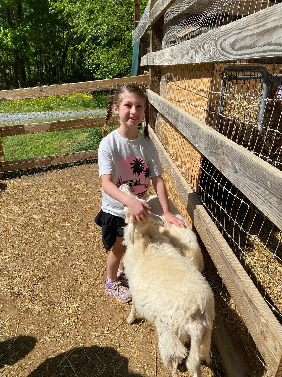 Sardis Elementary School (@sardisesnc) on Twitter photo 2nd graders loved their visit to Why Not an American Ark in Monroe! They got to experience a bunch of animals and farm life. They had a blast! ๐๐๐ฏ <a href="/kellylmarks54/">Kelly Frycz</a> <a href="/AGHoulihan/">Andrew G. Houlihan</a> <a href="/UCPSNC/">Union County Public Schools</a> <a href="/boatcandice/">Candice Boatright</a> 2nd graders loved their visit to Why Not an American Ark in Monroe! They got to experience a bunch of animals and farm life. They had a blast! ๐๐๐ฏ <a href="/kellylmarks54/">Kelly Frycz</a> <a href="/AGHoulihan/">Andrew G. Houlihan</a> <a href="/UCPSNC/">Union County Public Schools</a> <a href="/boatcandice/">Candice Boatright</a>