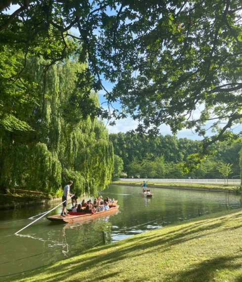 A place where serenity meets beauty. The world feels right here. 🌍💙