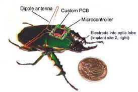 Nathan |... (@nathans_codes) on Twitter photo 