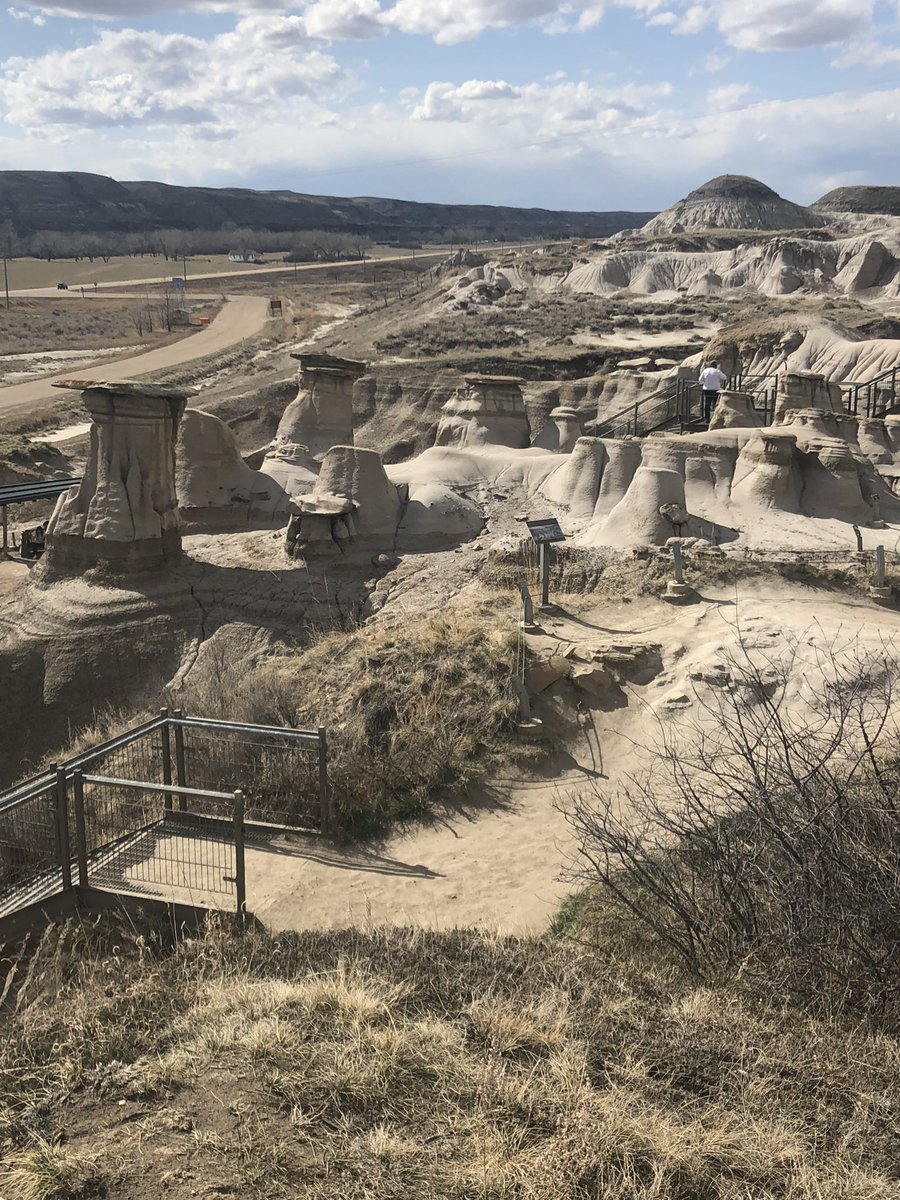 splendorousceliac tweet media