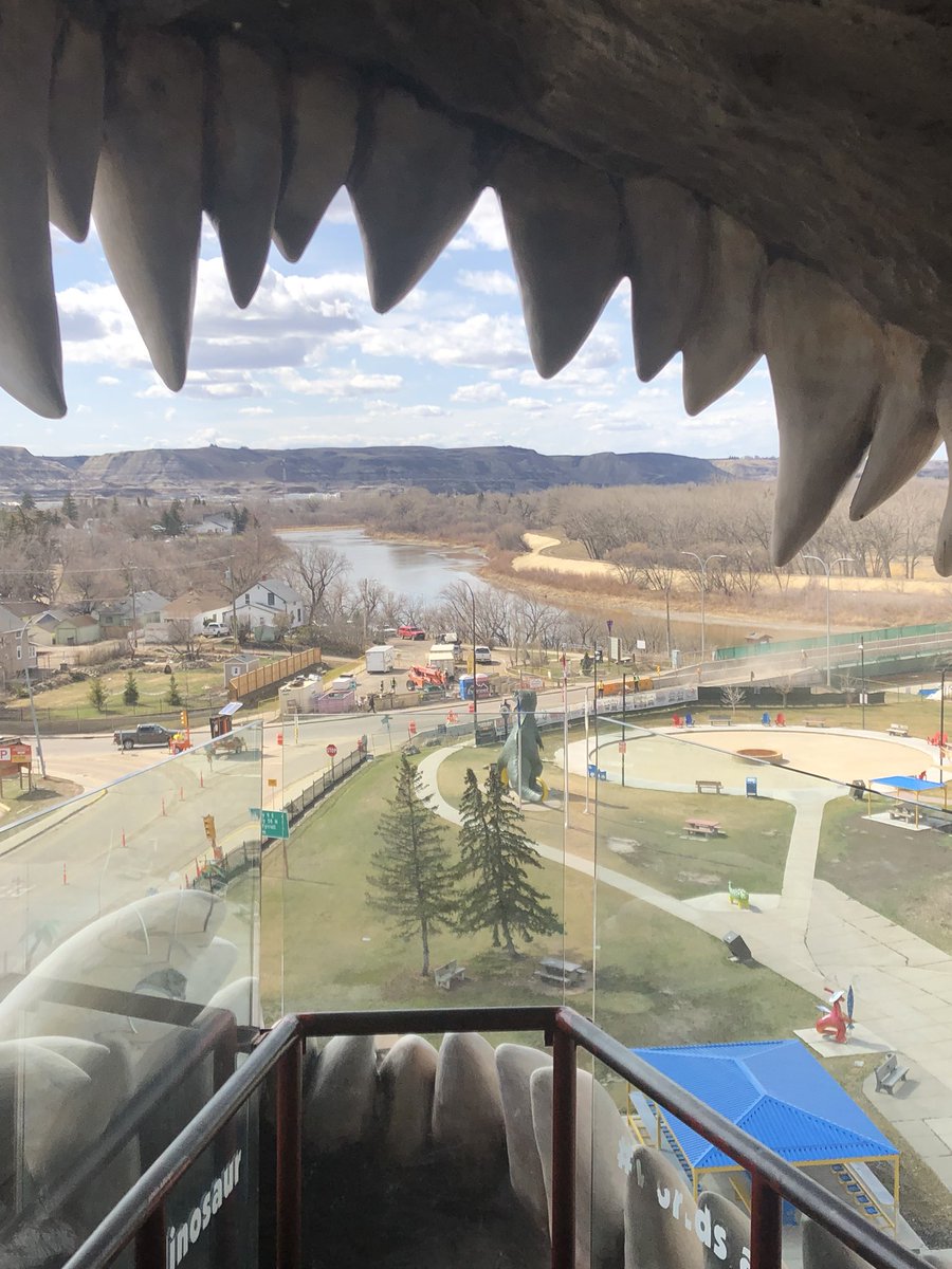 splendorousceliac tweet media