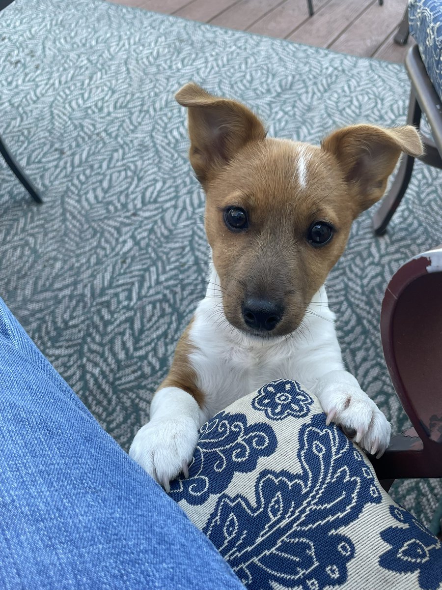 Always Capitalist in Philly! tweet media