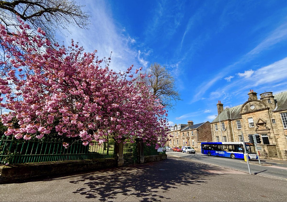 Discover Inverclyde (@discinverclyde) on Twitter photo Nice Cherry Blossom Tree colour across Inverclyde.
Thanks to Janet Boyle for the photos 📸
Plan Your Visit 👇
discoverinverclyde.com
<a href="/VisitScotland/">VisitScotland</a> | <a href="/Scotland/">Brand Scotland 🏴</a>
#DiscoverInverclyde #Scotland #ScotlandIsCalling Nice Cherry Blossom Tree colour across Inverclyde.
Thanks to Janet Boyle for the photos 📸
Plan Your Visit 👇
discoverinverclyde.com
<a href="/VisitScotland/">VisitScotland</a> | <a href="/Scotland/">Brand Scotland 🏴</a>
#DiscoverInverclyde #Scotland #ScotlandIsCalling