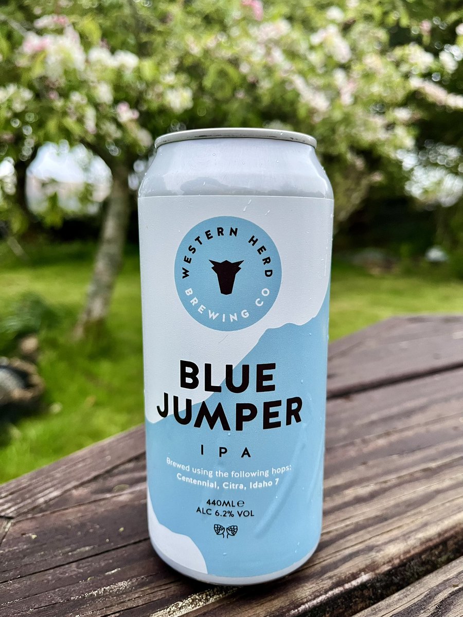 Growley Crowley (@bilcro) on Twitter photo #ThirstyHolyThursday continued with a 6.2% Blue Jumper IPA from <a href="/WesternHerd/">Western Herd Brewing</a>. Sweet syrupy malt balanced by big floral hops. Very nice! 😋
Sláinte! 🍻
<a href="/fennaldo/">Fennaldo</a> <a href="/keefmullin/">keef mullin 💙</a> <a href="/j_k357/">keith ⭐️⭐️💙</a> <a href="/whiskytip/">Duncan aka whiskytip 🥃</a> <a href="/cb_phil/">Phil</a> <a href="/PaulOBrien10/">Paul O'Brien</a> <a href="/antrim_man/">🪓🗡️Antrim_Man</a> <a href="/pcr123/">Paul Reid</a> <a href="/CorkBeer/">CorkBeerTweets</a> <a href="/ephoustonbill/">EPHoustonBill</a> <a href="/Imagicranium/">Paul Brown</a> #ThirstyHolyThursday continued with a 6.2% Blue Jumper IPA from <a href="/WesternHerd/">Western Herd Brewing</a>. Sweet syrupy malt balanced by big floral hops. Very nice! 😋
Sláinte! 🍻
<a href="/fennaldo/">Fennaldo</a> <a href="/keefmullin/">keef mullin 💙</a> <a href="/j_k357/">keith ⭐️⭐️💙</a> <a href="/whiskytip/">Duncan aka whiskytip 🥃</a> <a href="/cb_phil/">Phil</a> <a href="/PaulOBrien10/">Paul O'Brien</a> <a href="/antrim_man/">🪓🗡️Antrim_Man</a> <a href="/pcr123/">Paul Reid</a> <a href="/CorkBeer/">CorkBeerTweets</a> <a href="/ephoustonbill/">EPHoustonBill</a> <a href="/Imagicranium/">Paul Brown</a>
