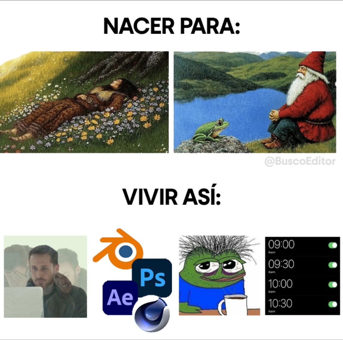 Busco Editor (@buscoeditor) on Twitter photo 