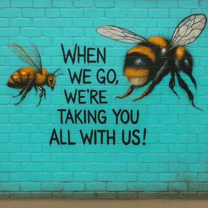 "If only we had heeded the bees' plea in time. Our future is intertwined with theirs. Let's act now. 🐝⏳ #ActForNature"