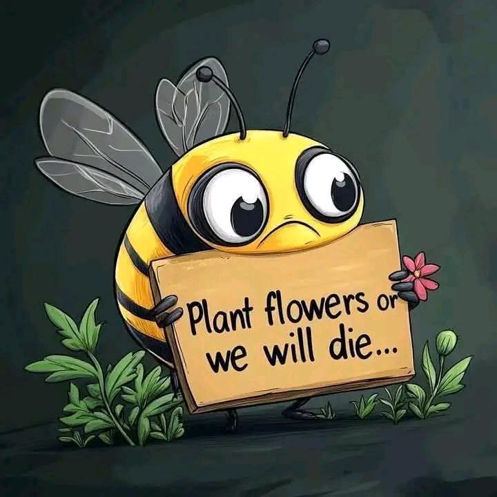 AbiluTangwa's tweet image. 🌸 Planting a variety of flowers can help support bee populations. Choose native plants to provide the best resources for our buzzing friends! #GardeningForBees #NativePlants