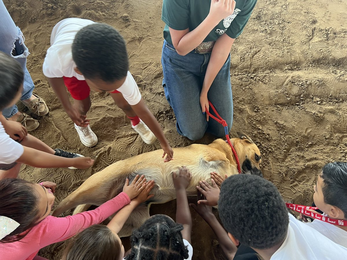 Mrs. Julie M. Jackson M.Ed. (@juliemeranda) on Twitter photo Our Kinder Cubs had a blast at AgVenture Day! Thank you to the <a href="/CrosbyHigh/">Crosby High School</a> Ag students for putting on a wonderful experience for our students. <a href="/CrosbyISD/">Crosby ISD</a> <a href="/CharlesRDrewES/">Drew Elementary</a> #kindergarten Our Kinder Cubs had a blast at AgVenture Day! Thank you to the <a href="/CrosbyHigh/">Crosby High School</a> Ag students for putting on a wonderful experience for our students. <a href="/CrosbyISD/">Crosby ISD</a> <a href="/CharlesRDrewES/">Drew Elementary</a> #kindergarten