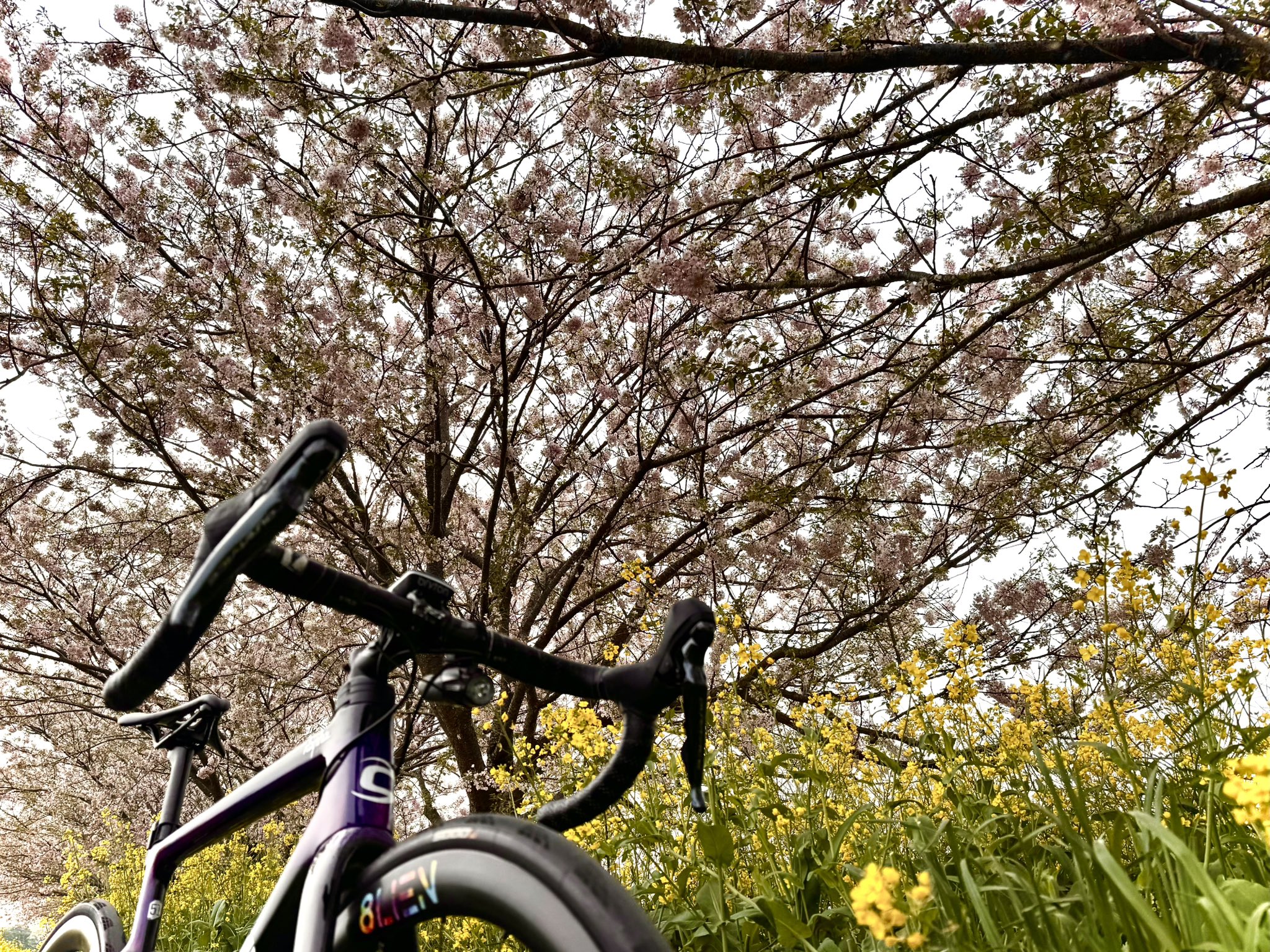 8LIEN BIKE (@8LienBike) / X 8LIEN BIKE (@8LienBike) / X