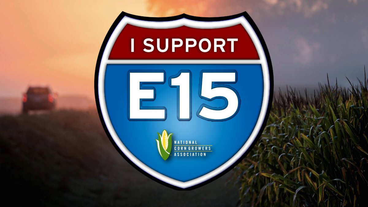 National Corn (NCGA) (@nationalcorn) on Twitter photo Special thanks to <a href="/RepFeenstra/">Rep. Randy Feenstra</a> and <a href="/RepAdrianSmith/">Rep. Adrian Smith</a> for writing the following op-ed calling for an end to restrictions on year-round consumer access to E15. To make their case that year-round E15 enjoys wide support, the congressman cite a letter sent to congressional leadership Special thanks to <a href="/RepFeenstra/">Rep. Randy Feenstra</a> and <a href="/RepAdrianSmith/">Rep. Adrian Smith</a> for writing the following op-ed calling for an end to restrictions on year-round consumer access to E15. To make their case that year-round E15 enjoys wide support, the congressman cite a letter sent to congressional leadership