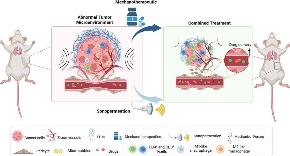 Sonopermeation combined with stroma normalization enables complete cure using nano-immunotherapy in murine breast tumors.
| Fotios Mpekris <a href="/UCYOfficial/">University of Cyprus</a> |
[Open Access]
#sonopermeation #mechanotherapeutics #MachineLearning
kwnsfk27.r.eu-west-1.awstrack.me/L0/https:%2F%2…