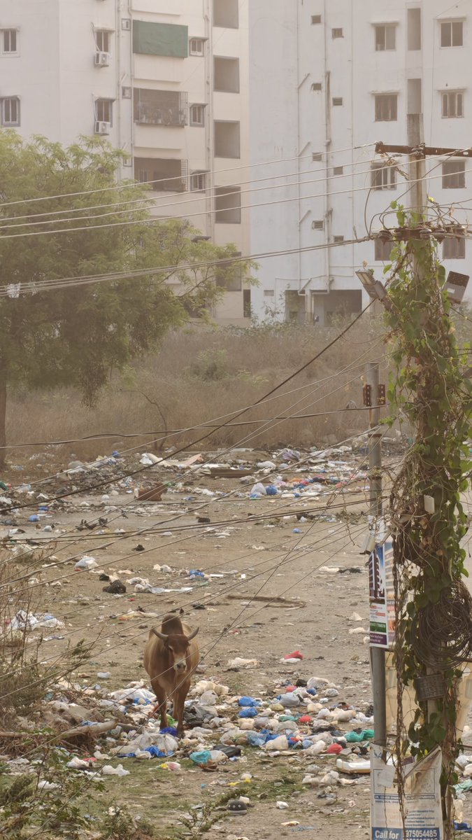 Bhanuprasad tweet media