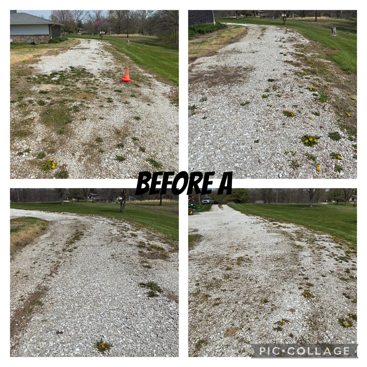 kostertsd's tweet photo. This driveway had a great transformation. I torched the weeds in the center of the driveway &amp; the extra car parking area by the house. I’m sure those dandelions &amp; other weeds we pulled out will eventually grow in new places, but now they have a fighting chance to weed new ones! https://t.co/zzhNq0eBCV