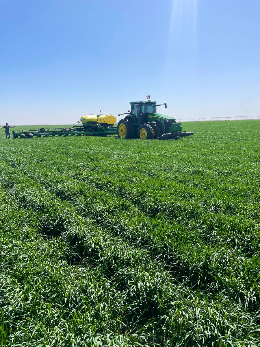 CClinkingbeard's tweet image. Planting season is in full swing! Thanks for the photobomb! 😂 @NickBorth 

#plantpioneer