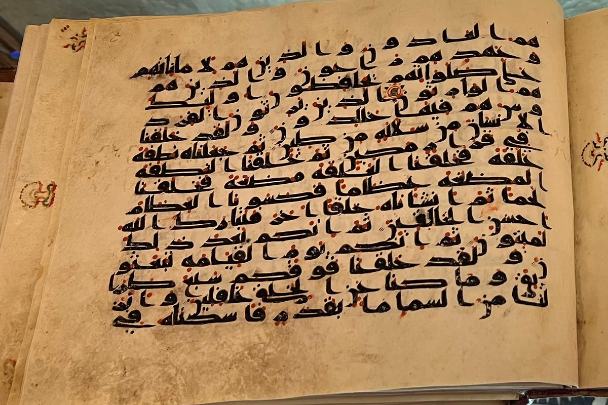 FGC8712 مشروع قريش وبني هاشم الجيني tweet media