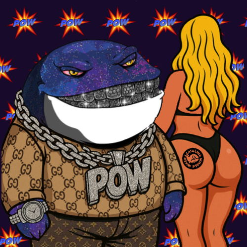 Catalina Whale Mixer tweet media