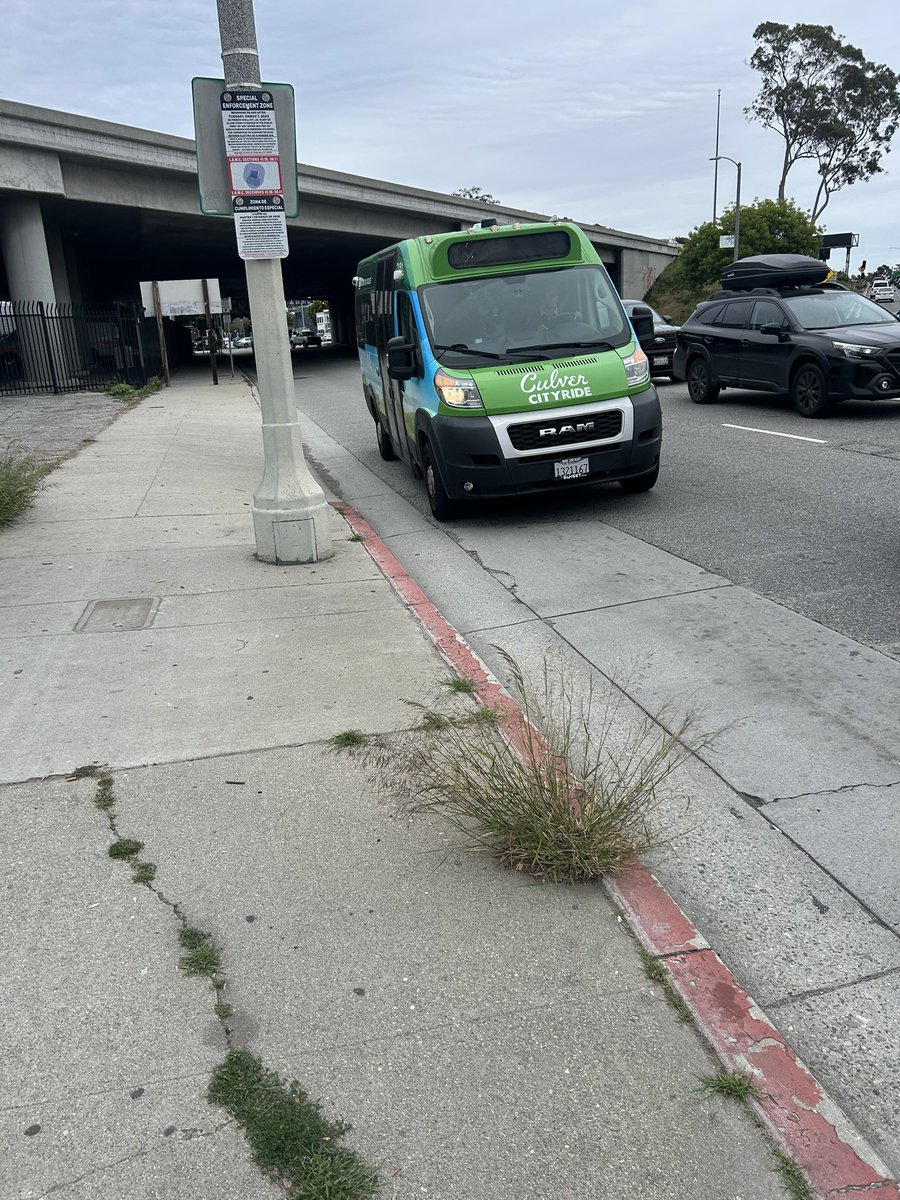 Hayden Ⓜ️ tweet media