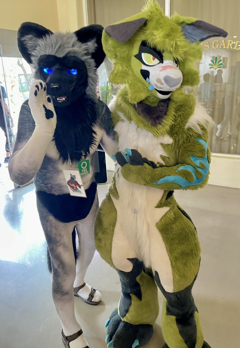 First photo at #LVFC2025. This cutie called himself a “creature”. No particular species. Tag appreciated.