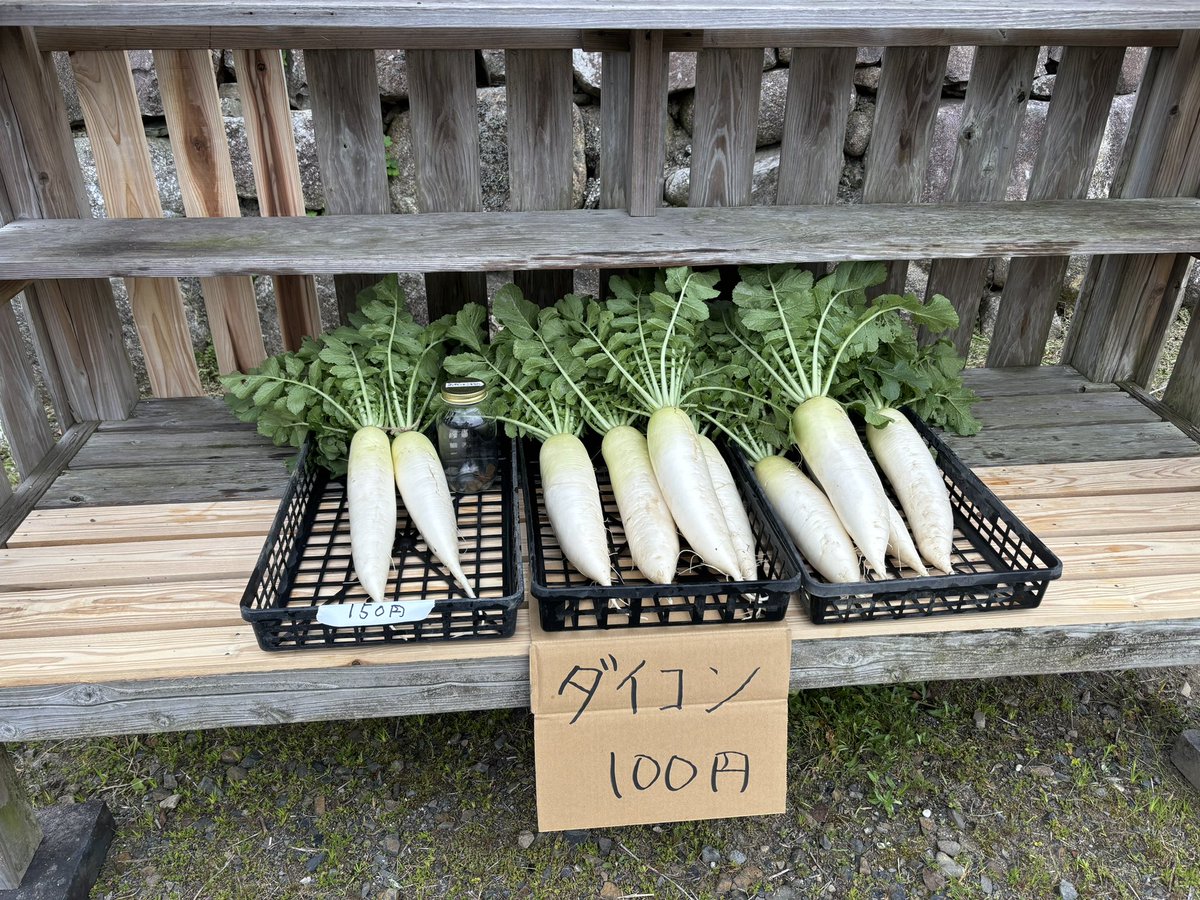 無人市デビューしました。
売れるかな〜。