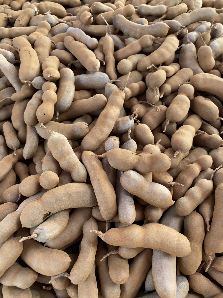 Jose San Roman tweet media