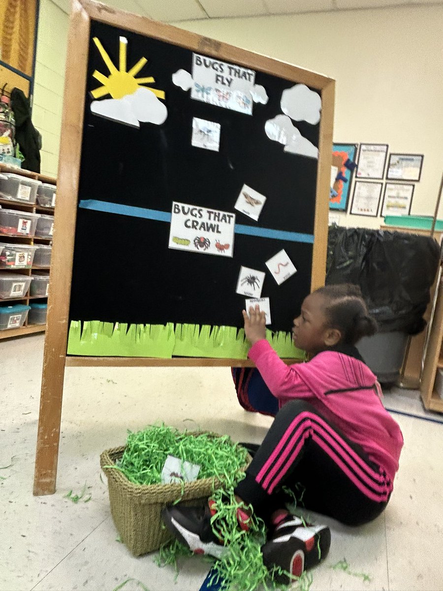 Misty Alexander (@mistyalexatl) on Twitter photo Our latest sensory center did not disappoint! We LOVE learning about bugs! 🐛 🐜🐞🪲🦟🕷️🐝🪱🦋 Our latest sensory center did not disappoint! We LOVE learning about bugs! 🐛 🐜🐞🪲🦟🕷️🐝🪱🦋