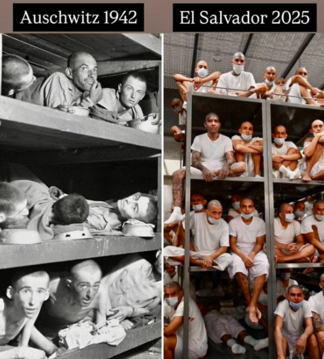 JamesconwayIND's tweet image. Trump told El Salvador's President Bukele to build 5 more CECOT Prisons, because, "the home-grown ones are next".
Trump's hatred for Latinos & his refusal to recognize the 14th Amendment are well known.
It's time to stop Trump before he builds another Auschwitz.
#DemVoice1