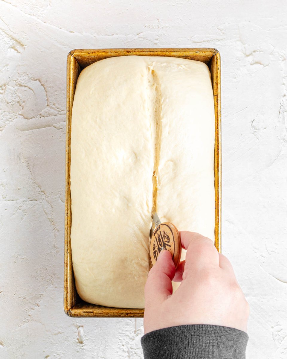 the practical kitchen 👩‍🍳 rebecca e. tweet media