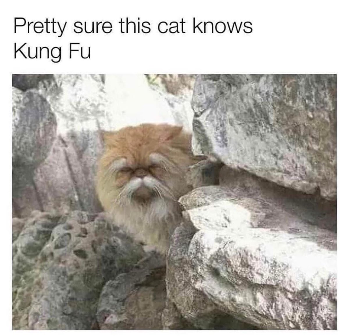 Satan (@s8n) on Twitter photo 