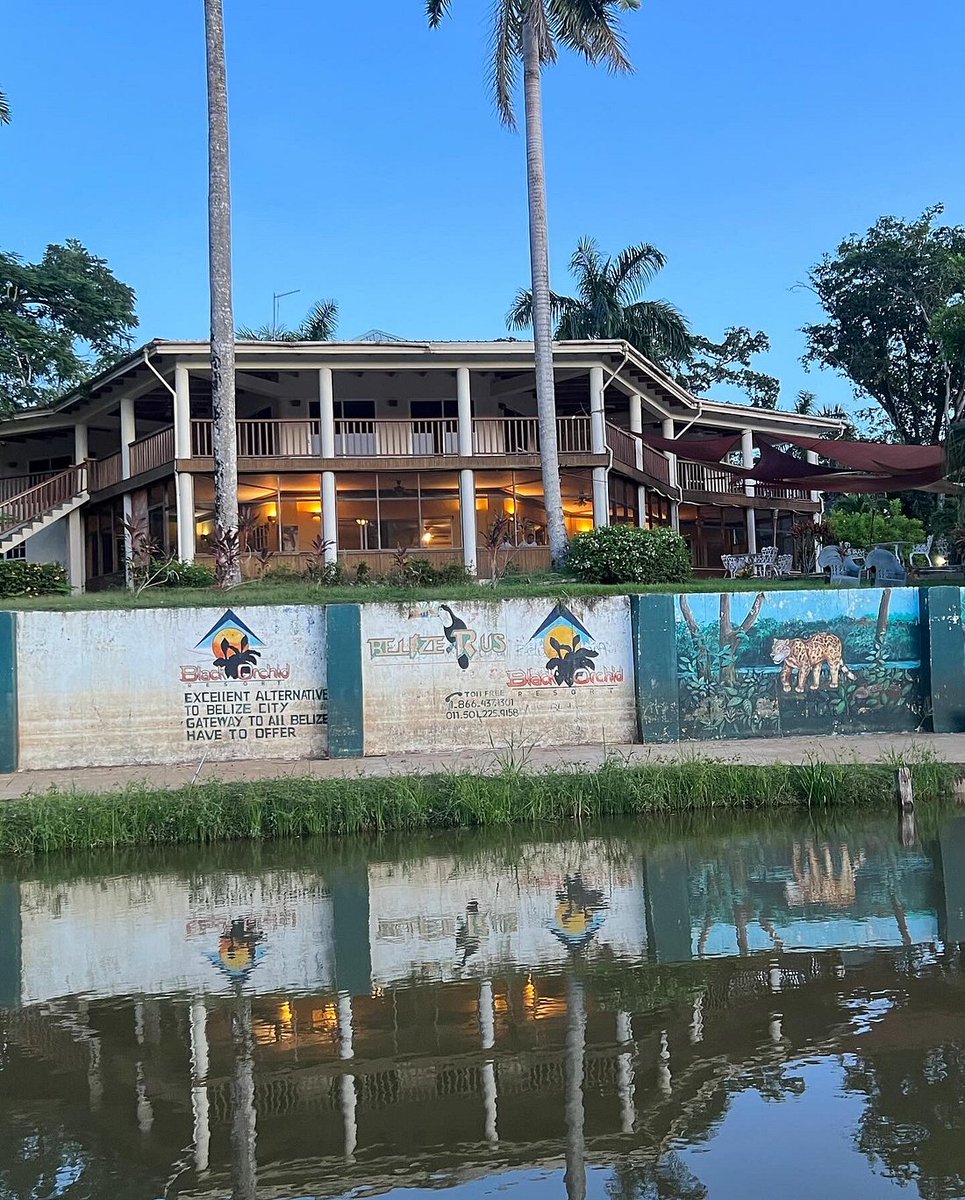 BlackOrchidRes's tweet image. Dinner by the river? Yes, please! 🍽️😋
 At Black Orchid, your evenings come with flavor and a view.
 #BelizeDining #RiversideResort #BlackOrchidExperience