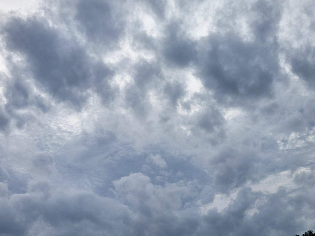 RaBiDtAb's tweet photo. Wires cut across the sky,
but the clouds don’t flinch.
Even in the city,
the sky still sighs.
#photography #cloudcollector #graydays #moodyweather #urbanclouds #naturemeetscity #quietmoments #stormincoming #softsky #atmosphericvibes https://t.co/b62h06cb0e