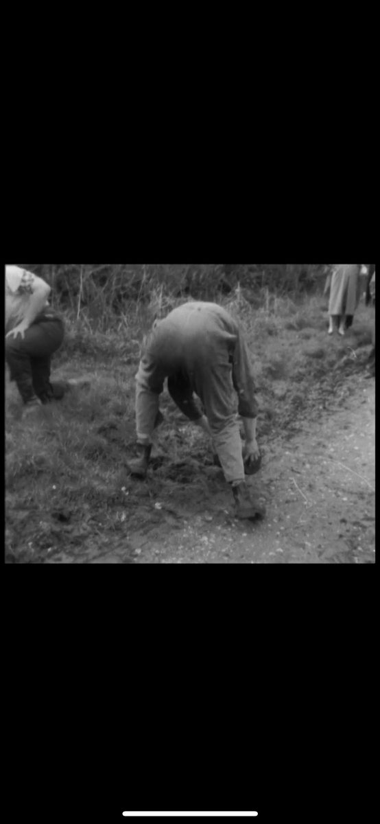Bottle Kicking tweet media