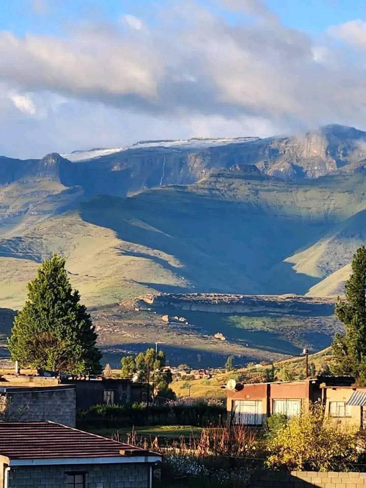 BunnyBoo🏳️‍🌈 tweet media