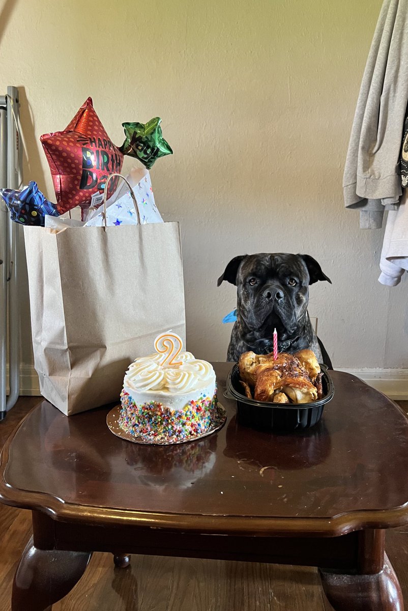 NoAverageJoee's tweet photo. No one showed up to bro’s bday 💔 https://t.co/eto7QyHwlS