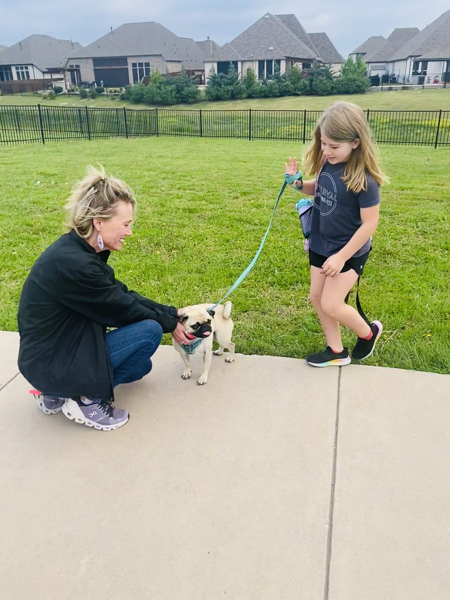 Laleh Olateju tweet media