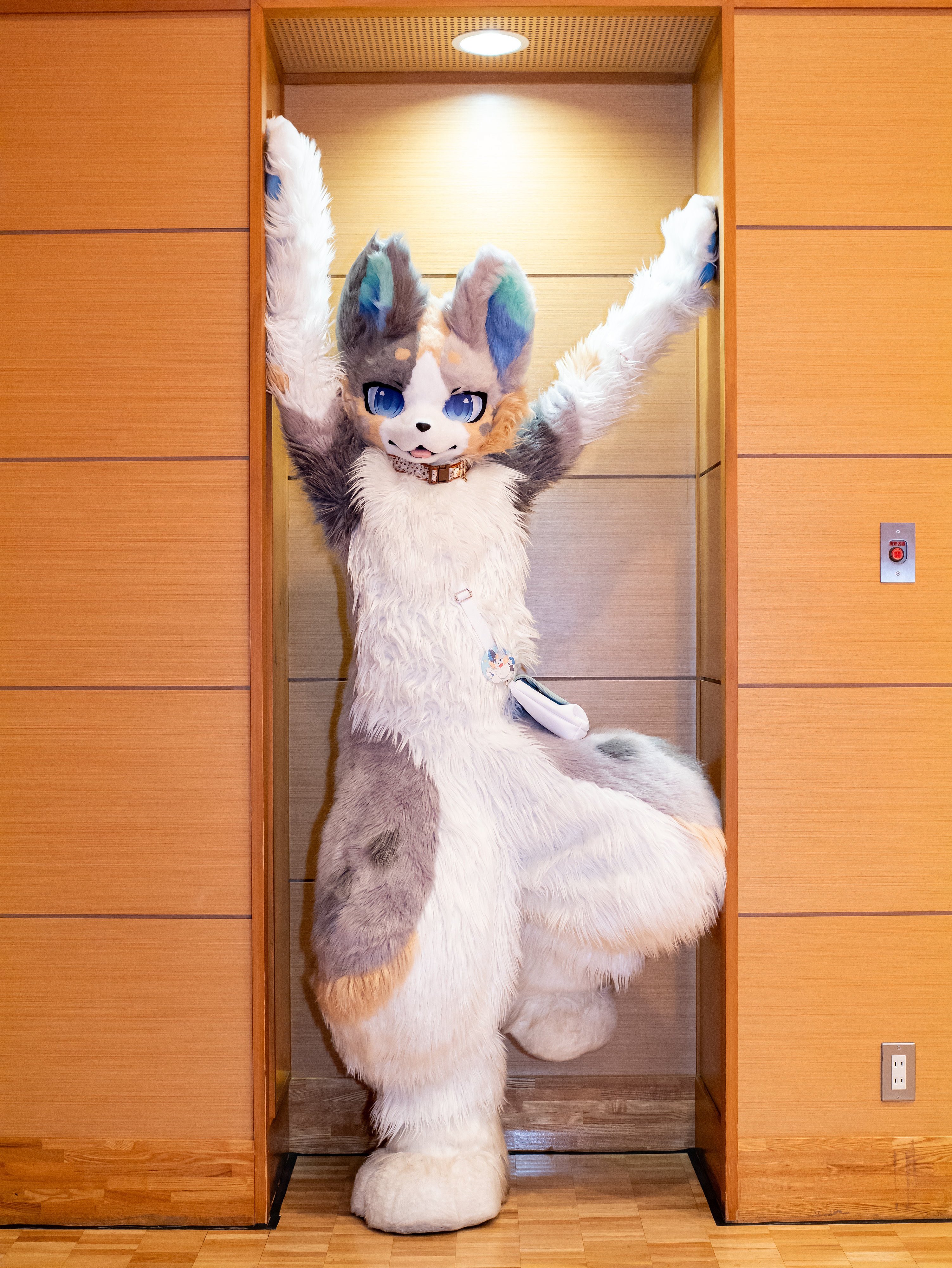 Highlights by 𝑺𝒉𝒊𝒎𝒐𝑼𝒔𝒂𝒈𝒊 (@SMUSG_) / X