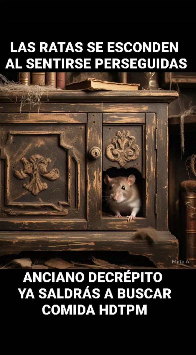 Es lo que todos los mexicanos PEDIMOS, QUE EL VIEJILLO #Narco  SALGA DE SU ESCONDRIJO Y DE LA CARA.🥳

#NarcoExPresidenteAMLO no seas gallina 🐔 y sal a responder por todos tus delitos.🧐