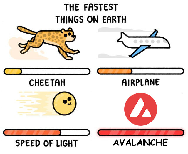 There's nothing faster than <a href="/avax/">Avalanche🔺</a>