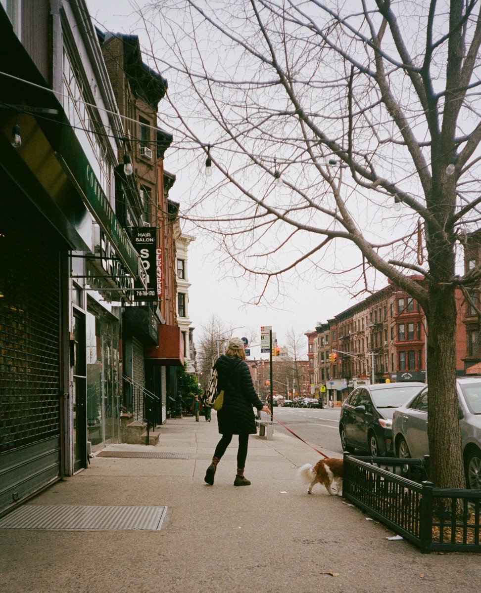 tylerwilliamsdp's tweet photo. Some of my favorite pics from my trip to NYC.  Love shooting on this small point and shoot from Coastal Film Lab @coastalfilmlab

#ShootFilm #35mm #KodakUltramax #Canon35mm #PortraitonFilm #FilmCommunity #35mmFilm #FilmPhotography #TylerWilliamsDP #FloridaFilm #FilmFlorida https://t.co/i3jCXoQZ6L