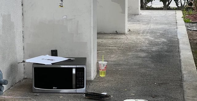 Pure Memeigan tweet media