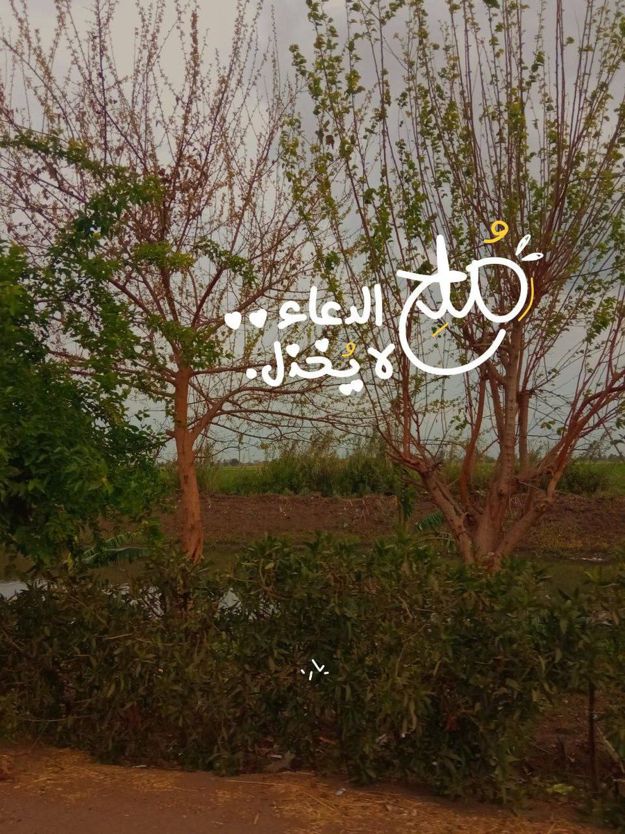 "أكرم الله من أكرمنا؛ بحديثهِ أو معروفه أو استماعه، أو وِصاله بلا منًّا ولا أذى، أكرم الله من أكرمنا بسعة قلبه وسماحة نفسه وجود مشاعره، أولئك الذين أحبُّوك بلا قيد ولا شرط ولا حتى مصلحة "🩵

#يوم_الجمعة 
#صلوا_على_الحبيب_محمد_ﷺ