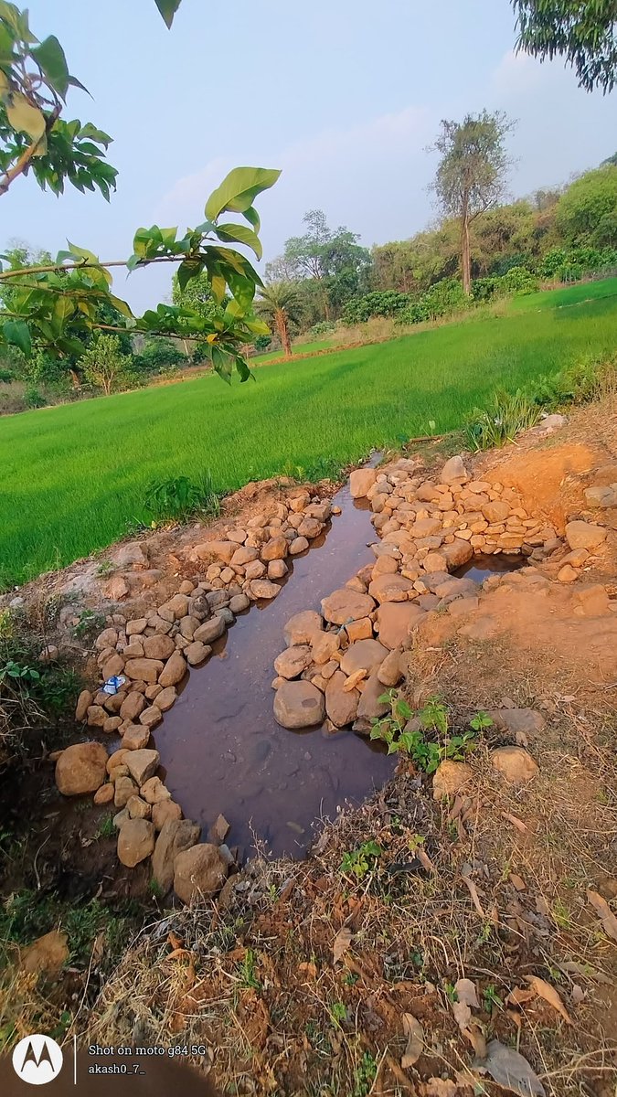 SubashChMahanta's tweet photo. ଦେଖି କି ଆଶ୍ଚର୍ଯ୍ୟ ଲାଗୁଛି କି ଆଜି ବି ଲୋକ ମାନେ ଚୁଆ କରିକି ପାଣି ପିଉଛନ୍ତି ।
At- Budhipada Santali Sahi 
Po- Rebenapalaspal 
Block - Harichandanpur 
@CMO_Odisha @DistAdmKeonjhar @RWSS_Keonjhar @RWSS_Odisha @OdishaWater @PRDeptOdisha https://t.co/6svzN9F3AB