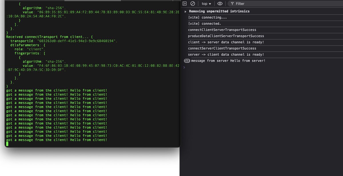 We are upgrading networking for <a href="/hytopia/"></a> to WebRTC with MediaSoup 🫡

This means more stable play, lower latencies and more player concurrency with more complex games since networking will no longer run on the same process as physics and scripting.