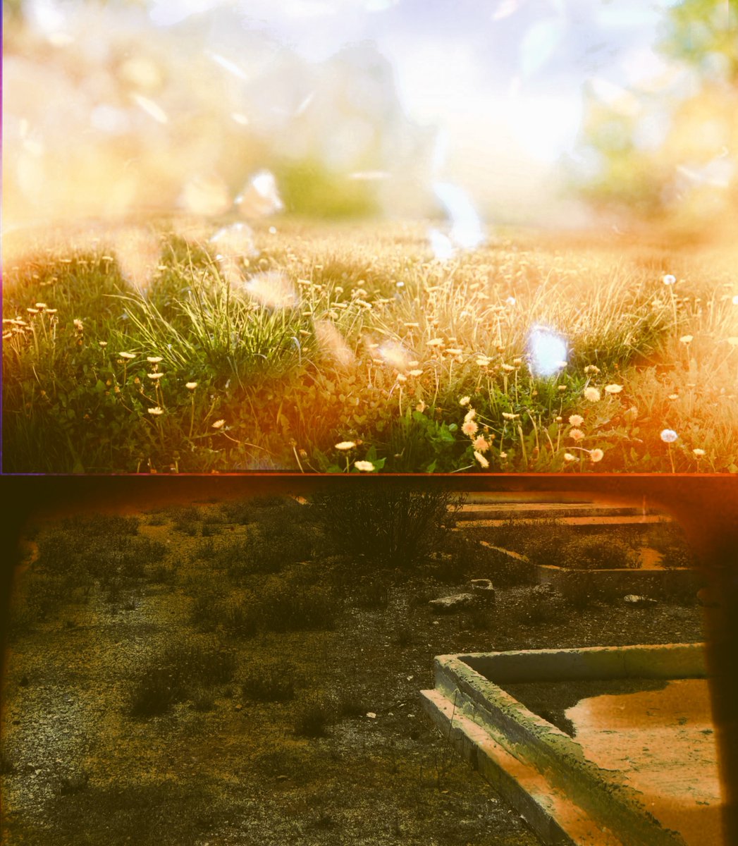 Tanasis2's tweet image. Leonard Cohen - Different Sides
youtube.com/watch?v=kLLc95…