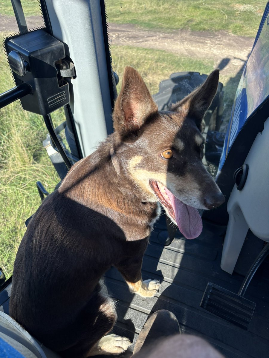 Martin Murray tweet media