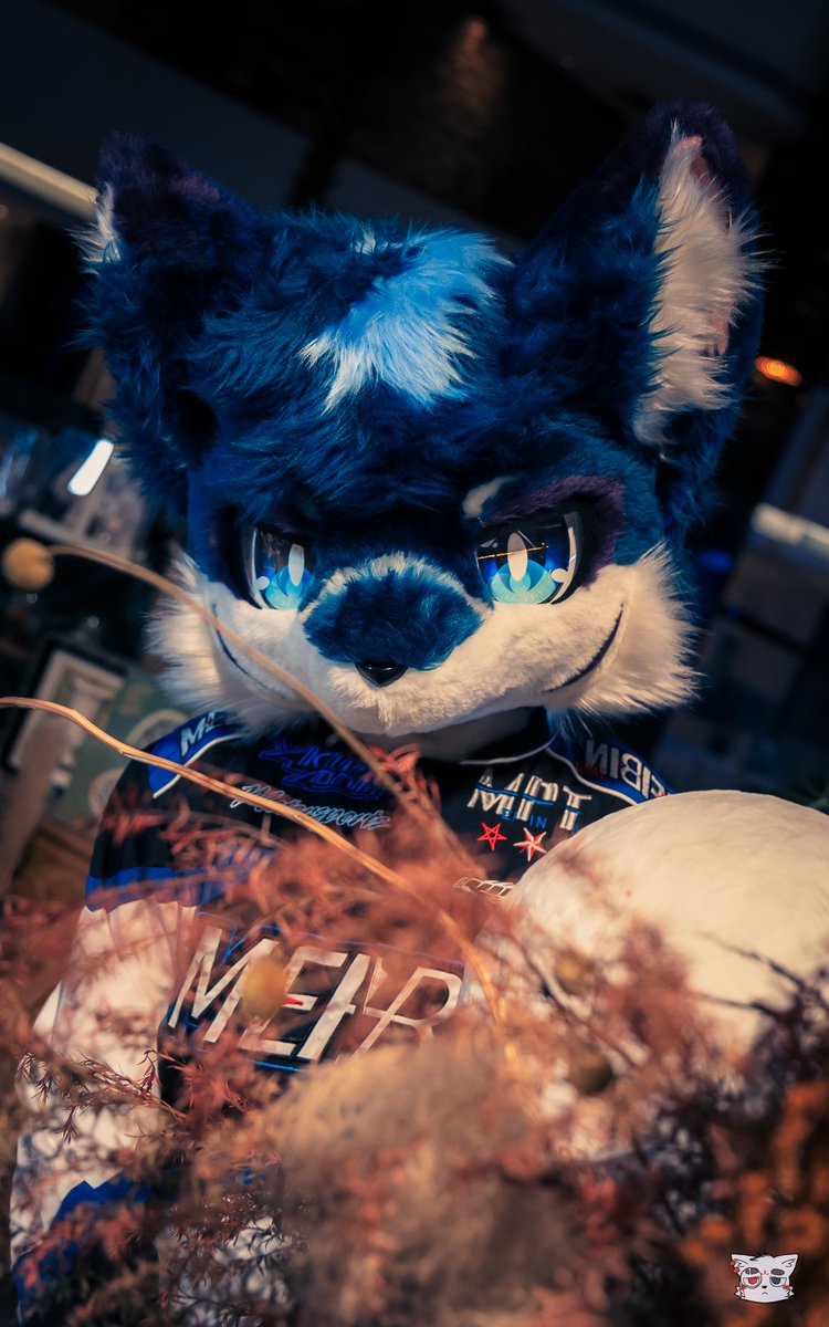 #FursuitFriday   /// 紫 蛍 ///
———————————— 🐺
 嗷呜——?
丨
📸：欧武-Owens