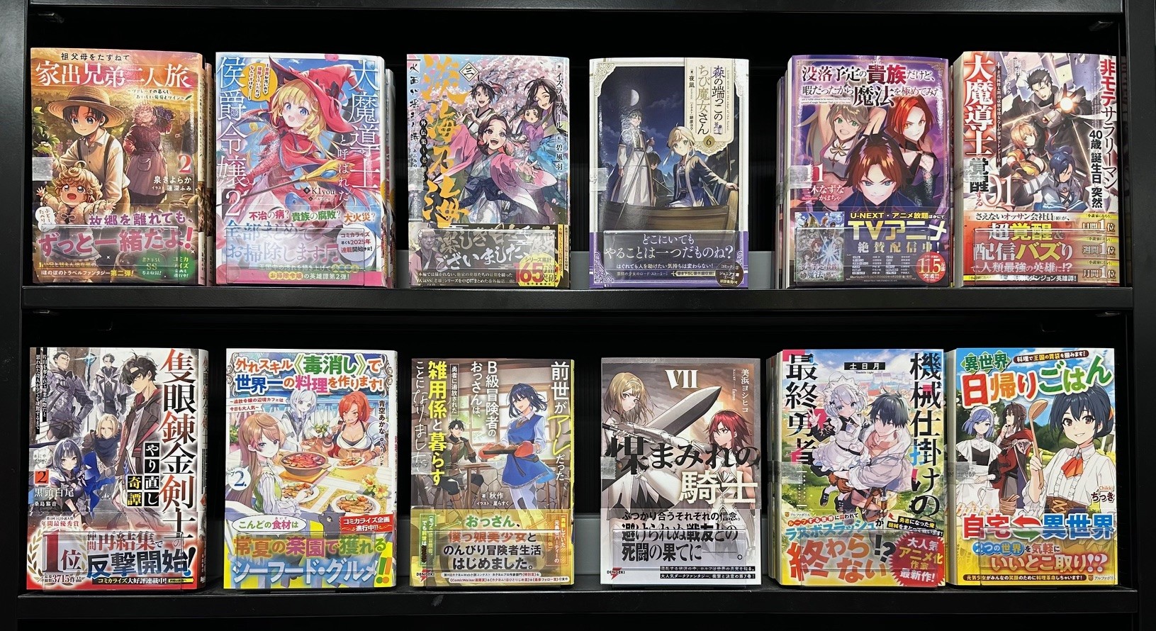 Amazon.co.jp: 大魔導士と呼ばれた侯爵令嬢～世界が汚いので掃除