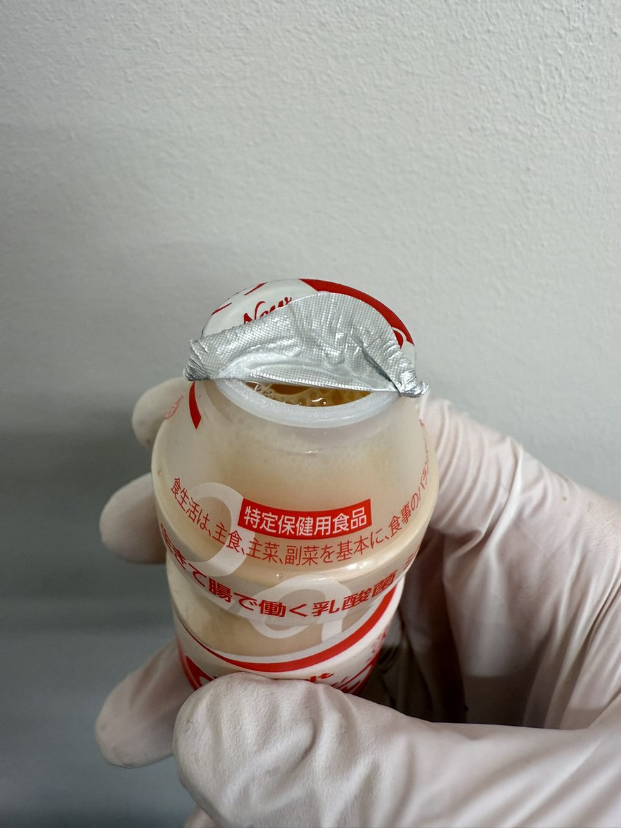 ヤクルトこう飲む同士おる？