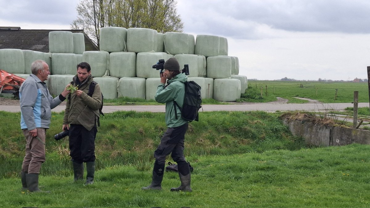 Weer wat afwisselende (goed gevulde) dagen, gehad en die gaan komen.
Vandaag op pad voor een paardenbloem excursie naar Rockanje. Gister waren we even terug naar de schoolbanken en mochten we de studenten van het Linde College in Wolvega een les geven over voortplanting. Woensdag